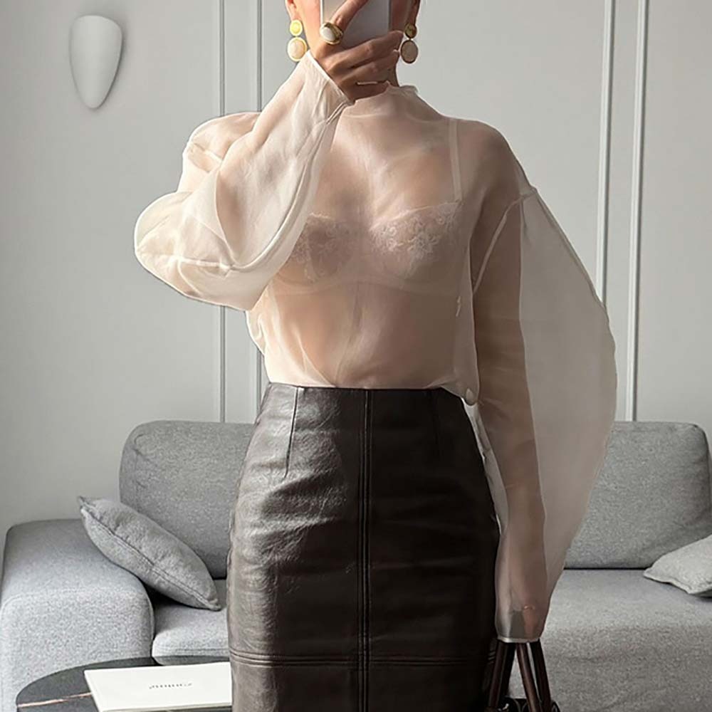 Chic Long Sleeve Mesh Blouse H - Wrap Blouse Chiffon review and price